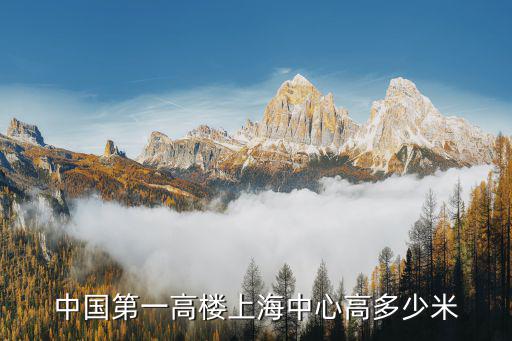 上海城市中心大廈底面積，上海中心的占地面積