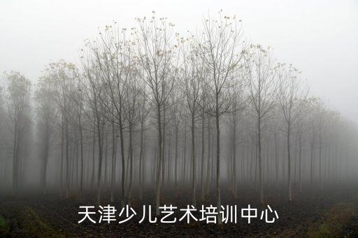 天津少兒藝術(shù)培訓中心