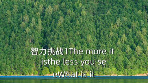 智力挑戰1The more it isthe less you seeWhat is it