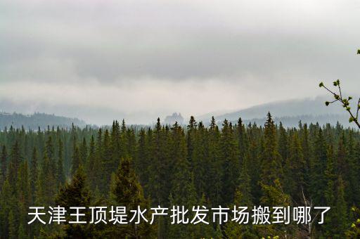 天津市王頂鮮活批，天津王頂堤水產批發市場搬到哪了