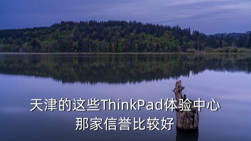 天津的這些ThinkPad體驗中心那家信譽比較好