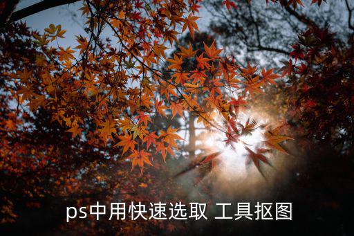  ps中用快速選取 工具摳圖