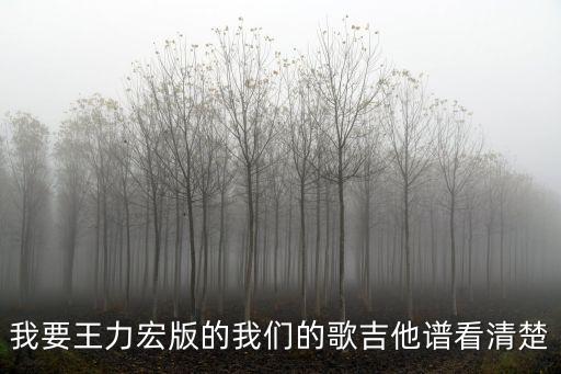 我要王力宏版的我們的歌吉他譜看清楚