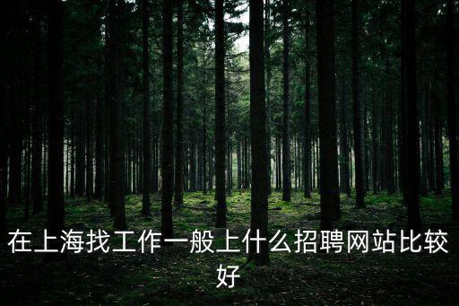 在上海找工作一般上什么招聘網(wǎng)站比較好