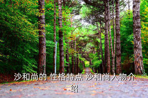  沙和尚的 性格特點 沙和尚人物介紹