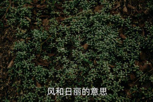 風(fēng)和日麗的近義詞,和風(fēng)和日麗這個(gè)詞反義詞是暴風(fēng)驟雨或暴風(fēng)雨