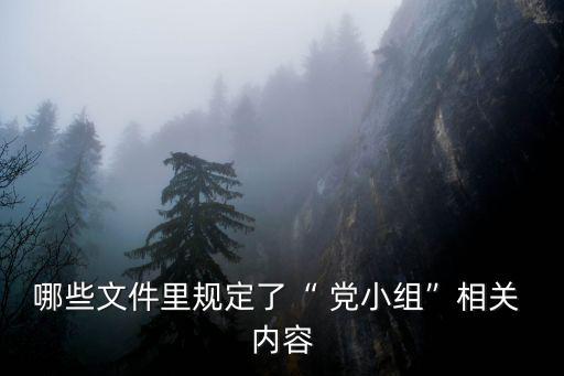 哪些文件里規定了“ 黨小組”相關 內容