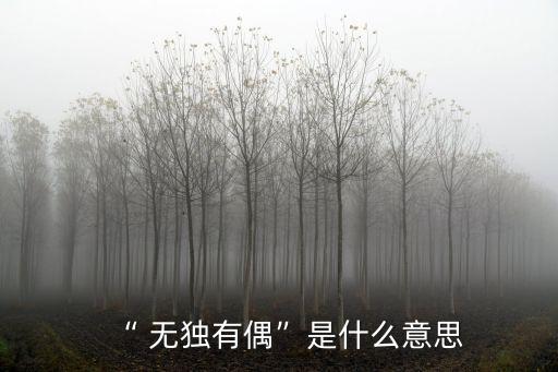 無獨有偶的近義詞,兩對雙胞胎同時出生公司同時提供免費午餐