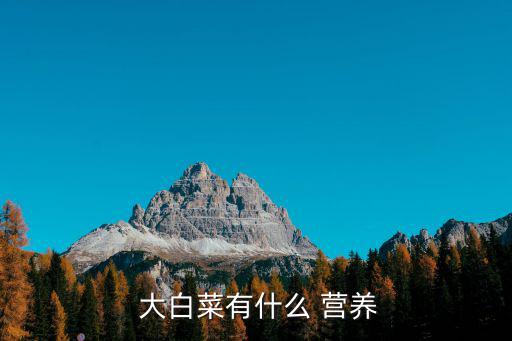  大白菜有什么 營養(yǎng)