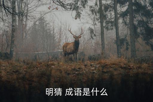 明猜 成語是什么