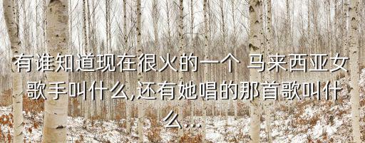 有誰知道現(xiàn)在很火的一個 馬來西亞女 歌手叫什么,還有她唱的那首歌叫什么...