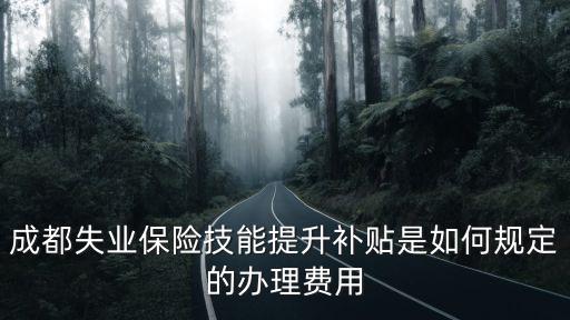 成都失業保險技能提升補貼是如何規定的辦理費用