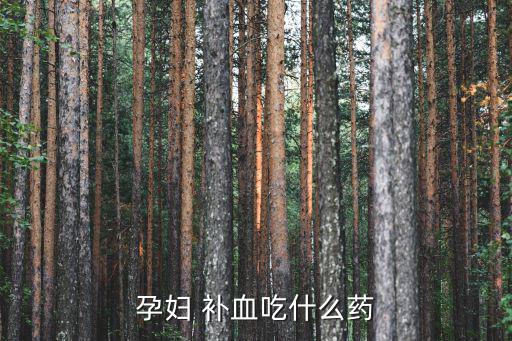 孕婦 補血吃什么藥