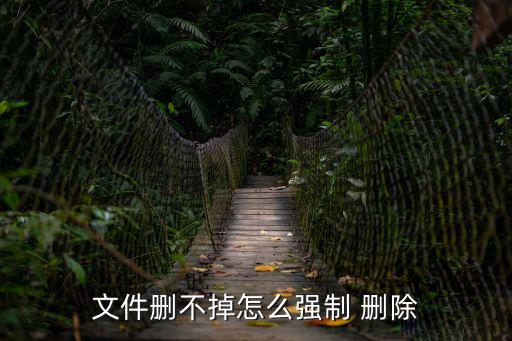 文件刪不掉怎么強制 刪除