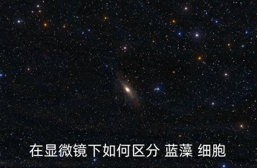 在顯微鏡下如何區分 藍藻 細胞