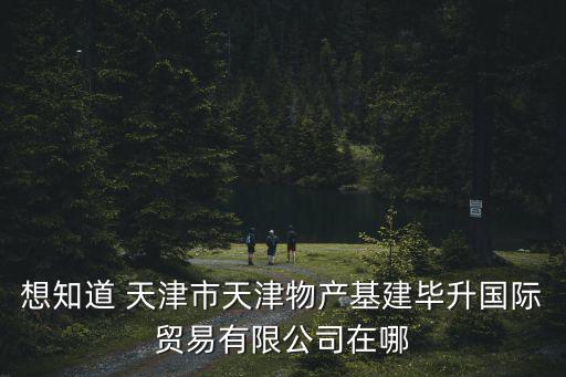 想知道 天津市天津物產基建畢升國際貿易有限公司在哪