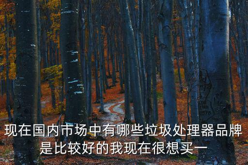 現(xiàn)在國(guó)內(nèi)市場(chǎng)中有哪些垃圾處理器品牌是比較好的我現(xiàn)在很想買一