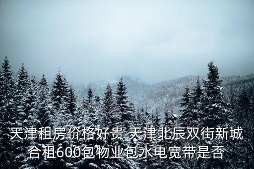 天津租房價格好貴 天津北辰雙街新城合租600包物業包水電寬帶是否