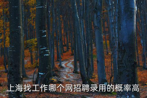 上海找工作哪個(gè)網(wǎng)招聘錄用的概率高