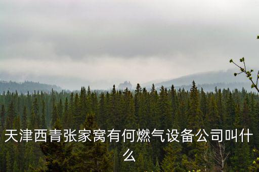 天津市燃氣報警設備公司，天津西青張家窩有何燃氣設備公司叫什么
