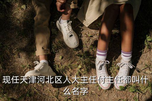 現(xiàn)任天津河北區(qū)人大主任付主任都叫什么名字