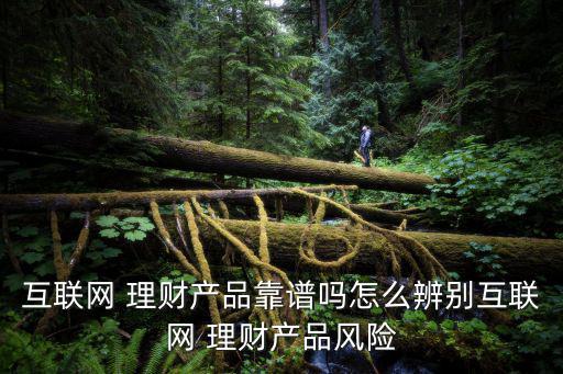 互聯(lián)網(wǎng) 理財產(chǎn)品靠譜嗎怎么辨別互聯(lián)網(wǎng) 理財產(chǎn)品風險