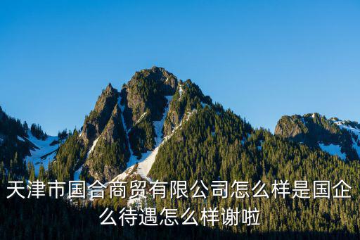 天津市國合商貿有限公司怎么樣是國企么待遇怎么樣謝啦
