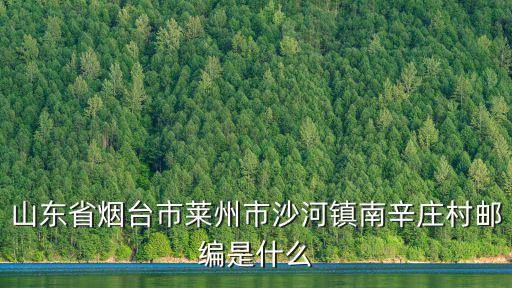 山東省煙臺市萊州市沙河鎮南辛莊村郵編是什么
