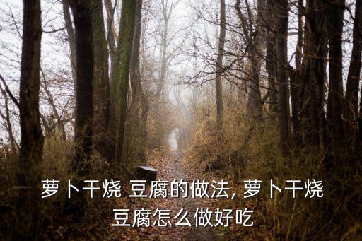  蘿卜干燒 豆腐的做法, 蘿卜干燒 豆腐怎么做好吃