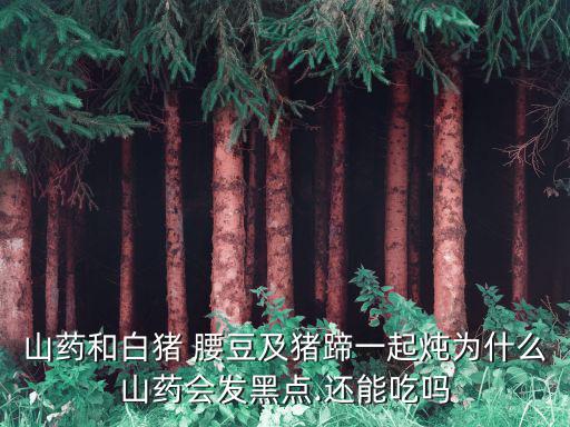山藥和白豬 腰豆及豬蹄一起燉為什么山藥會發黑點.還能吃嗎