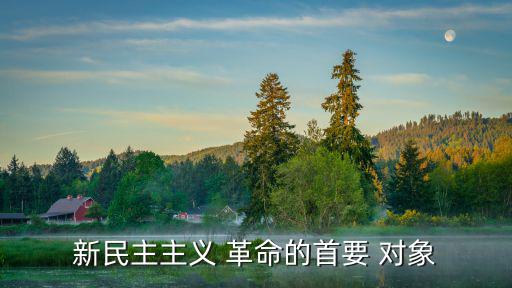 新民主主義 革命的首要 對象