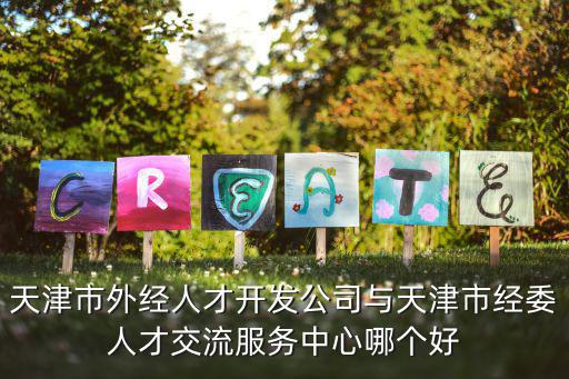 天津市外經(jīng)人才開發(fā)公司與天津市經(jīng)委人才交流服務(wù)中心哪個(gè)好