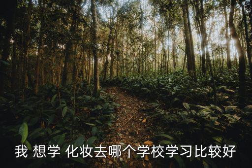 我 想學 化妝去哪個學校學習比較好