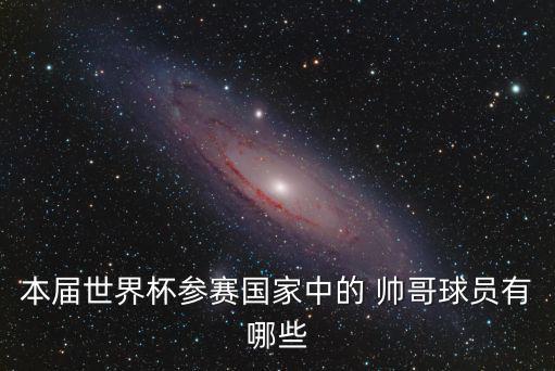 本屆世界杯參賽國家中的 帥哥球員有哪些