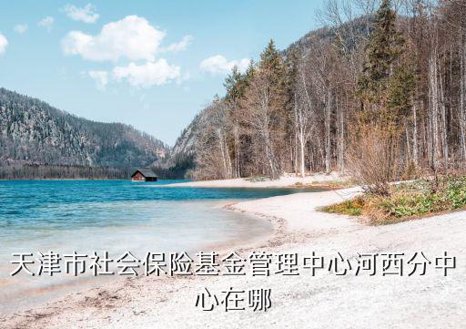 天津市社會保險基金管理中心鄧鑫，天津市社會保險基金管理中心 津南區(qū)
