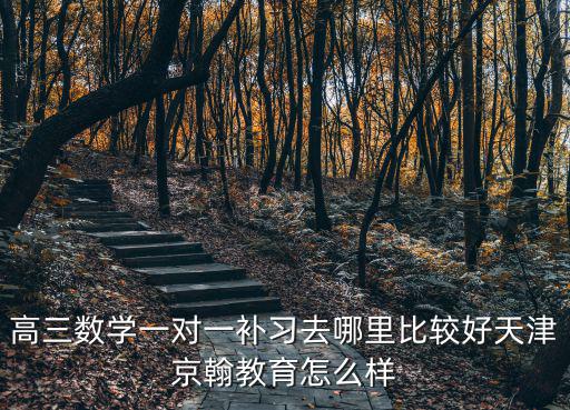 天津市和平區張莉老師，高三數學一對一補習去哪里比較好天津京翰教育怎么樣