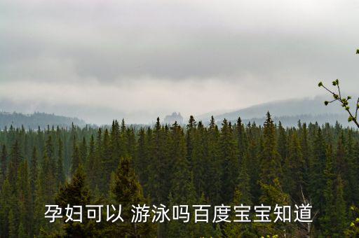 孕婦可以 游泳嗎百度寶寶知道