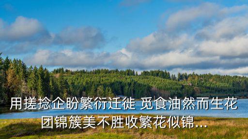 用搓捻企盼繁衍遷徙 覓食油然而生花團(tuán)錦簇美不勝收繁花似錦...