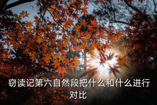  竊讀記第六自然段把什么和什么進行對比
