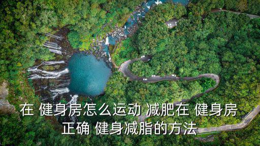 在 健身房怎么運動 減肥在 健身房正確 健身減脂的方法