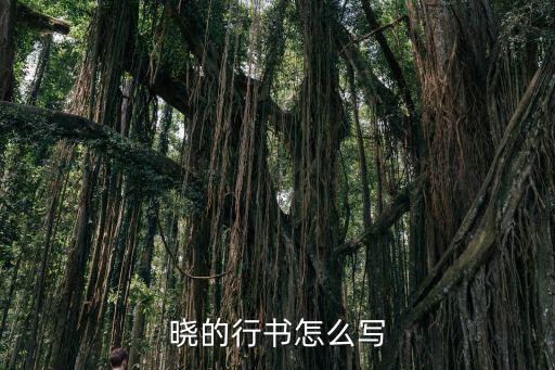 黎明的號(hào)角,警察就像一棵挺立不倒的樹支撐著世界和平