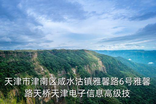 天津市津南區咸水沽鎮雅馨路6號雅馨路天橋天津電子信息高級技
