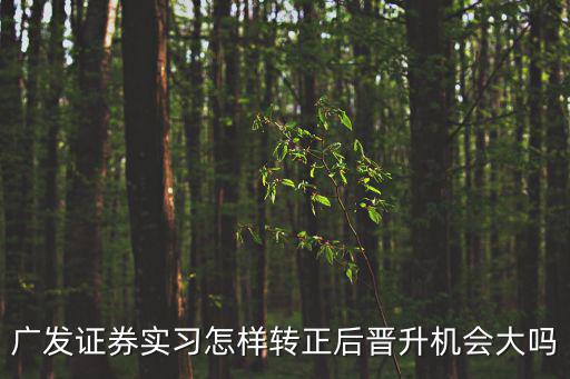 證券公司實(shí)習(xí)，找銀行或證券公司實(shí)習(xí)