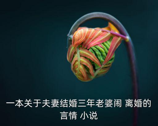 小說離婚,車禍女司機送院后得知女兒已死