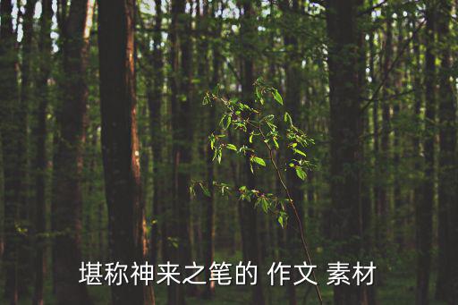 堪稱神來之筆的 作文 素材