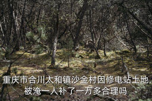 重慶市合川區太和電廠，重慶市合川太和鎮沙金村因修電站土地被淹一人補了一萬多合理嗎