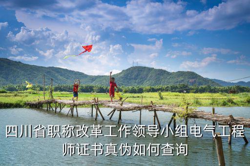 成都市職稱改革工作領(lǐng)導(dǎo)小組查詢，四川省職稱改革工作領(lǐng)導(dǎo)小組電氣工程師證書(shū)真?zhèn)稳绾尾樵?/></a></span><span id=