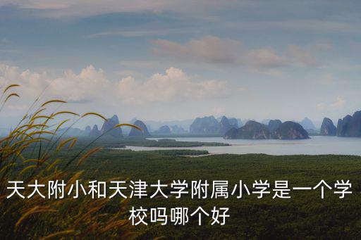 天大附小和天津大學附屬小學是一個學校嗎哪個好