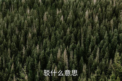 駁什么意思
