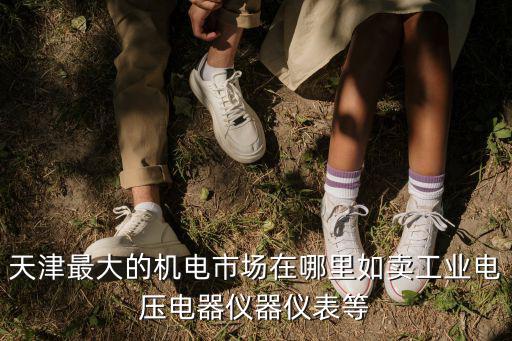 天津最大的機電市場在哪里如賣工業電壓電器儀器儀表等